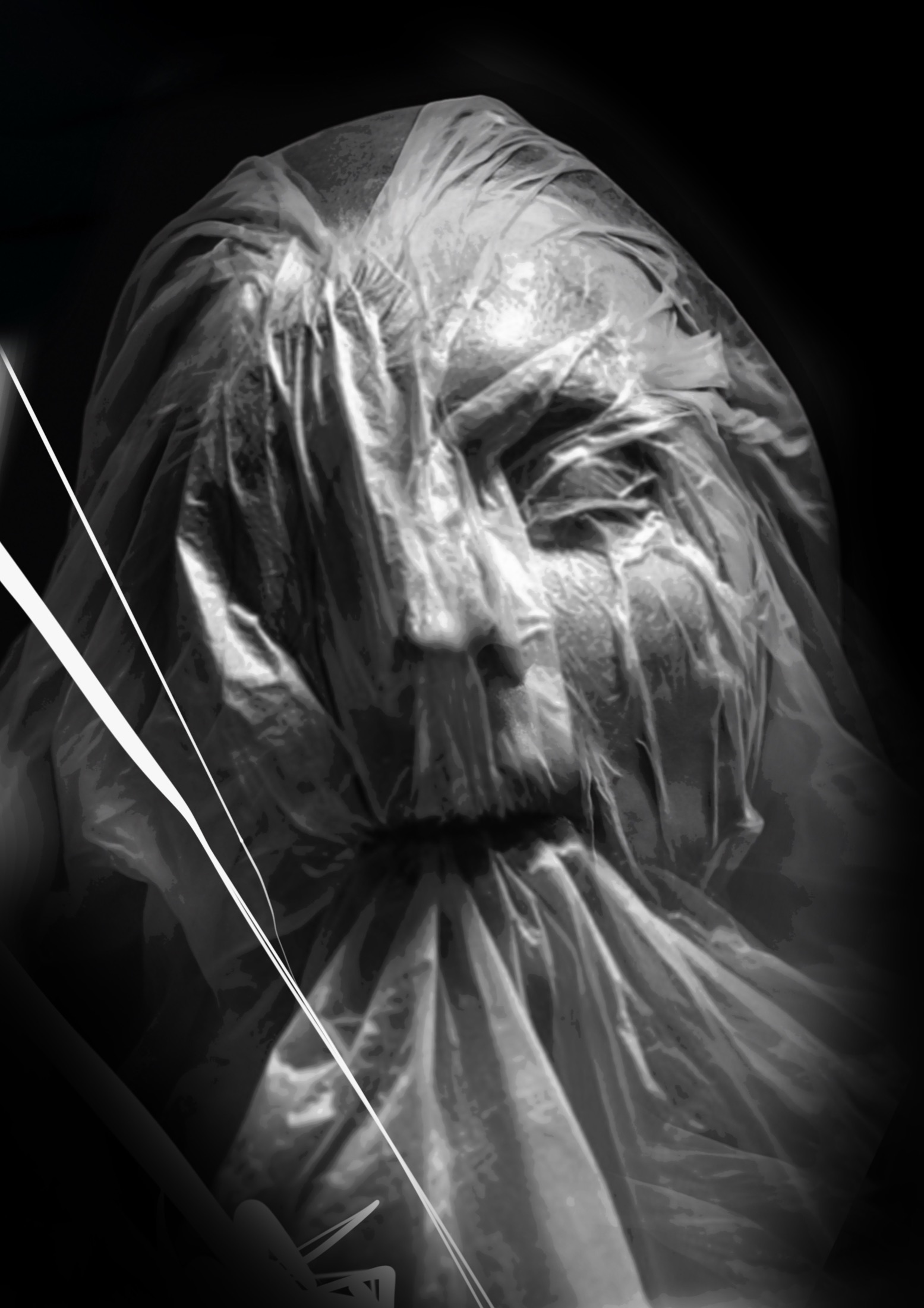 Dark realism veiled portrait design concept.